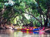  Kauai Tours